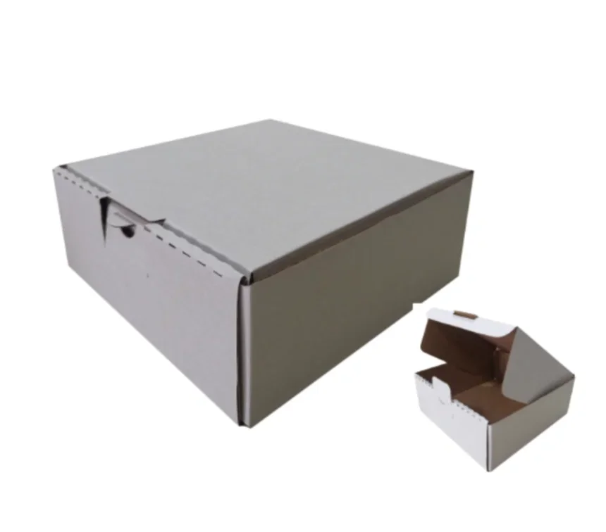 Caixa Lanche 2P